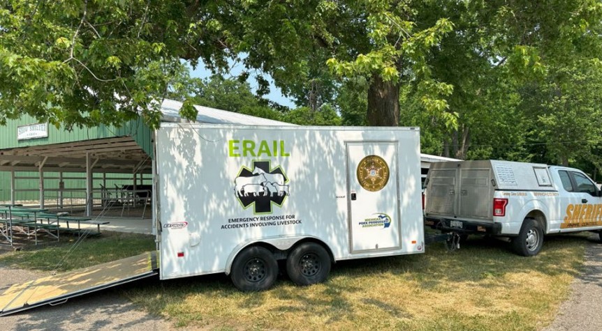 Erail cargo trailer .jpg